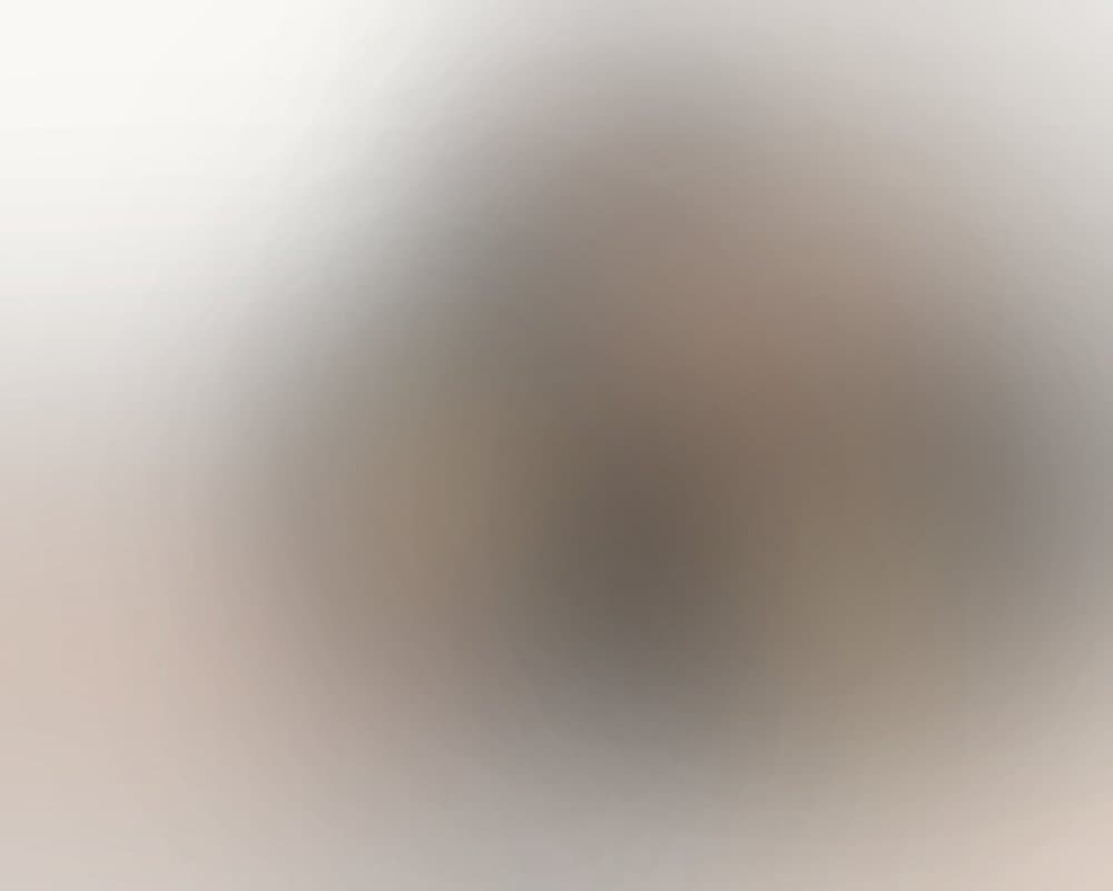 Høstløv i Frognerparken